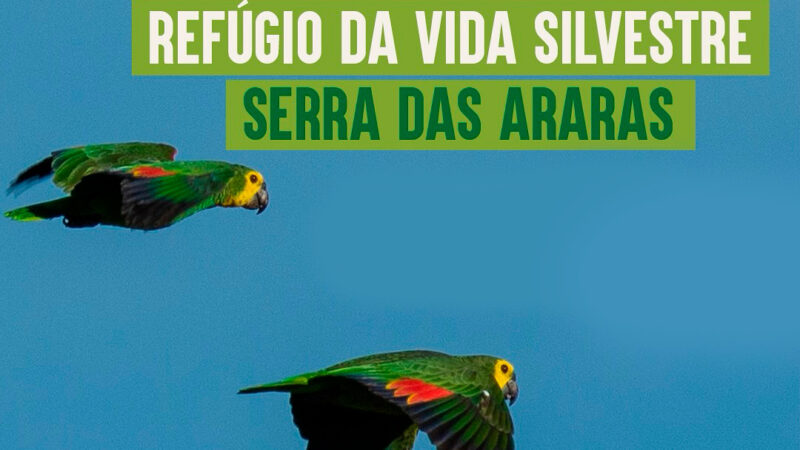 Audiência pública discute criação do Refúgio de Vida Silvestre Serra das Araras em Currais Novos