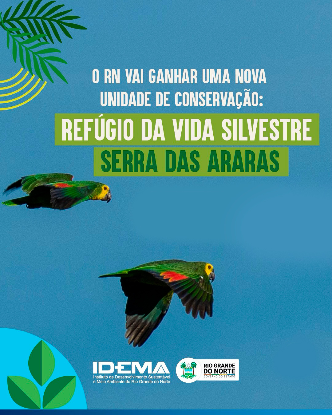 Audiência pública discute criação do Refúgio de Vida Silvestre Serra das Araras em Currais Novos
