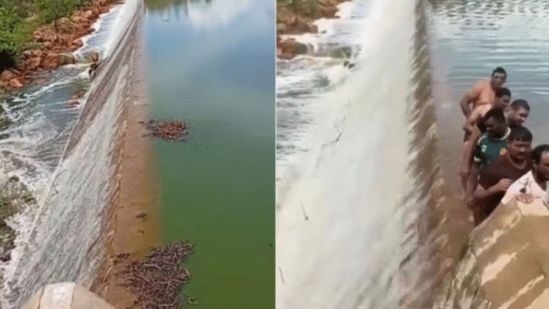 Chuvas elevam reservatórios do RN, e barragem atinge capacidade máxima