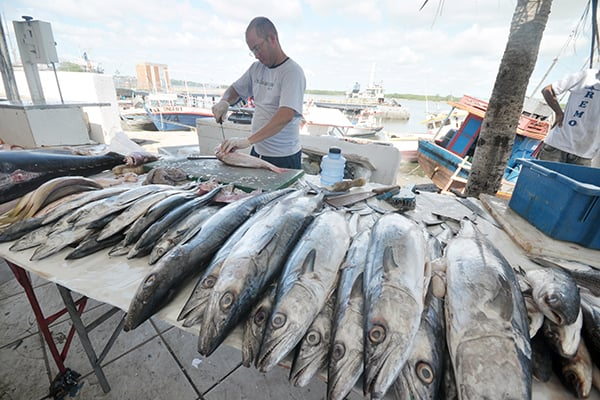 Vigilância Sanitária orienta sobre compra de pescado na Semana Santa