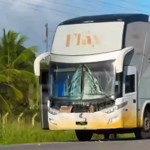 Ônibus da equipe da ex-BBB Flay se envolve em acidente e deixa motociclista morto