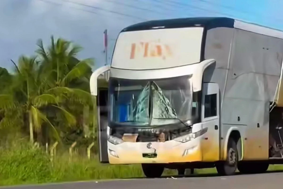 Ônibus da equipe da ex-BBB Flay se envolve em acidente e deixa motociclista morto